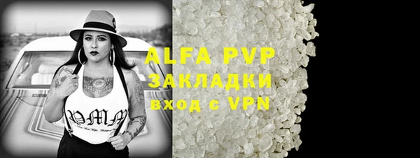 прущие грибы Алзамай