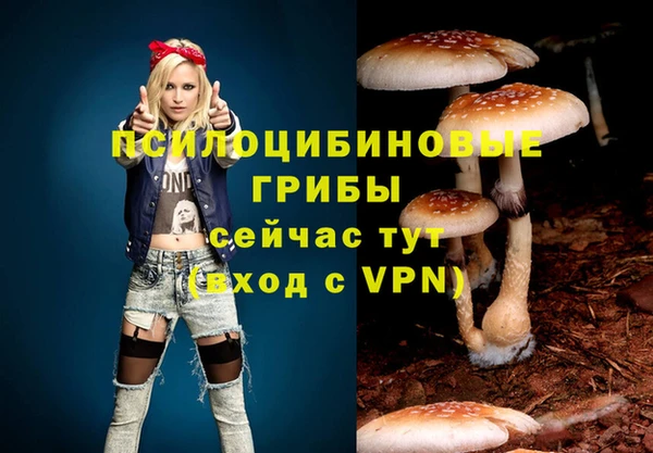 альфа пвп Елизово