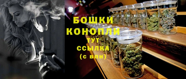 прущие грибы Алзамай