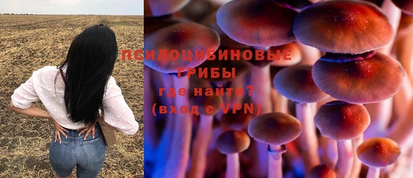 синтетический гашиш Алексин