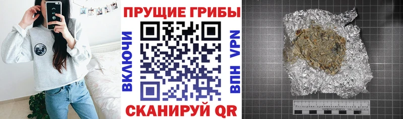 Галлюциногенные грибы мицелий где найти Оханск